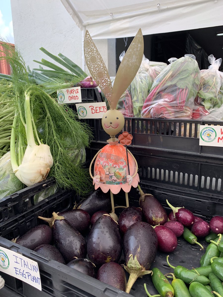 TeenasPrideCSA's tweet photo. Get fresh tomatoes for Easter Dinner at our farm market 19101 SW 147 Ave 33187 Saturday (10-4pm) closed Sundays . https://t.co/ewcRzENsJg