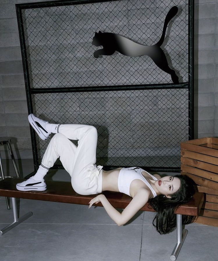 puma