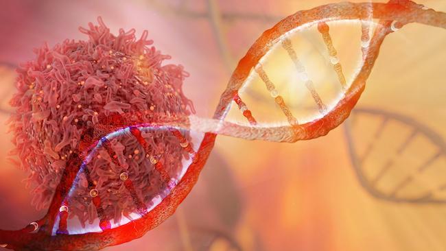 GENbio's tweet photo. How Cancer Immunotherapy Gets a STING

Researchers show that the tumor-suppressor enzyme DAPK3 drives tumor-intrinsic immunity by sensing misplaced genetic material in tumor cells. Read more: https://t.co/VfrJuYzS7t https://t.co/nACtzWrYDk
