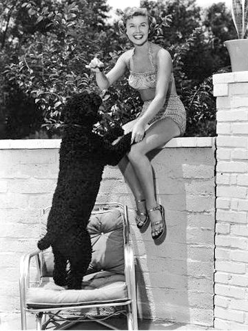 DamesandDogs's tweet photo. #DorisDay with a plethora of four-legged friends
#DorisDayAnimalFoundation https://t.co/s5hbdFpTMt