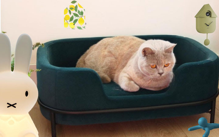 AxeswarDesign's tweet image. BEST OF MARCH - deze Axeswaartjes scoorden het best: 
Nr1 -De huisdierensofa's 
axeswardesign.be/nl/search/huis…
Nr2 - De Tjilpboxen
axeswardesign.be/nl/search/tjil…
Nr3 - De Karlsson Clocks
axeswardesign.be/nl/brands/karl…