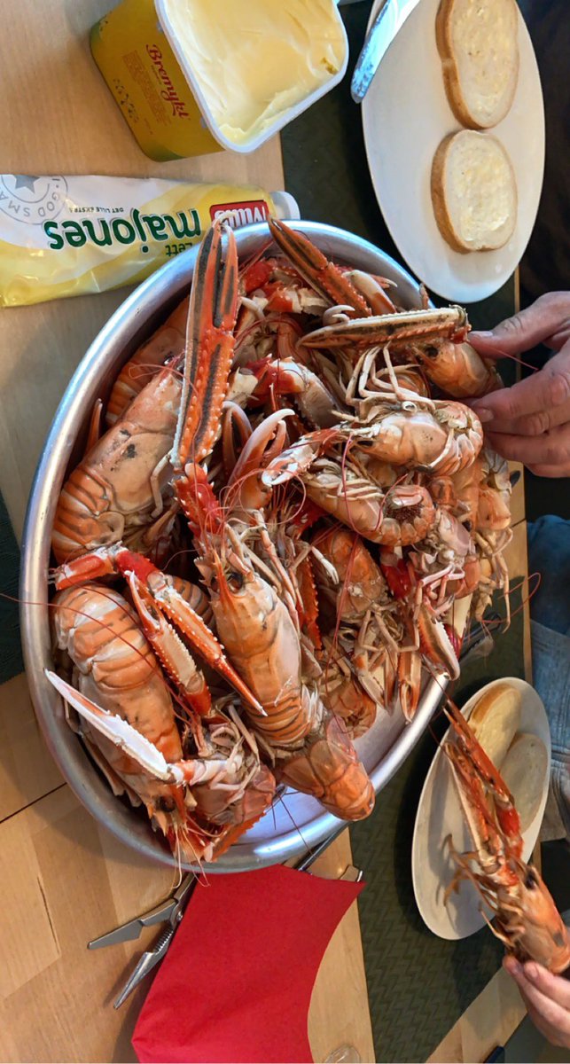 Miss_Ingvalid's tweet image. How lucky am I to have a dad who catches crayfish for fun😩😍