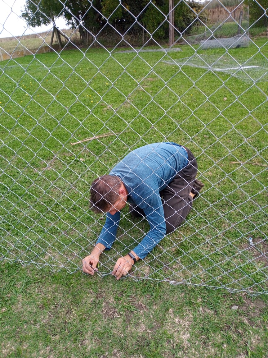 fico_tandil's tweet photo. Mientras muchos hablan, algunos hacemos...

Etapa 3 - alambrado de caniles de suelta y patio de juegos.

Los 🐕🐩 van a tener una rehabilitación más rápida para encontrar una familia que los adopte! ❤️❤️❤️ https://t.co/i4Eocubwea