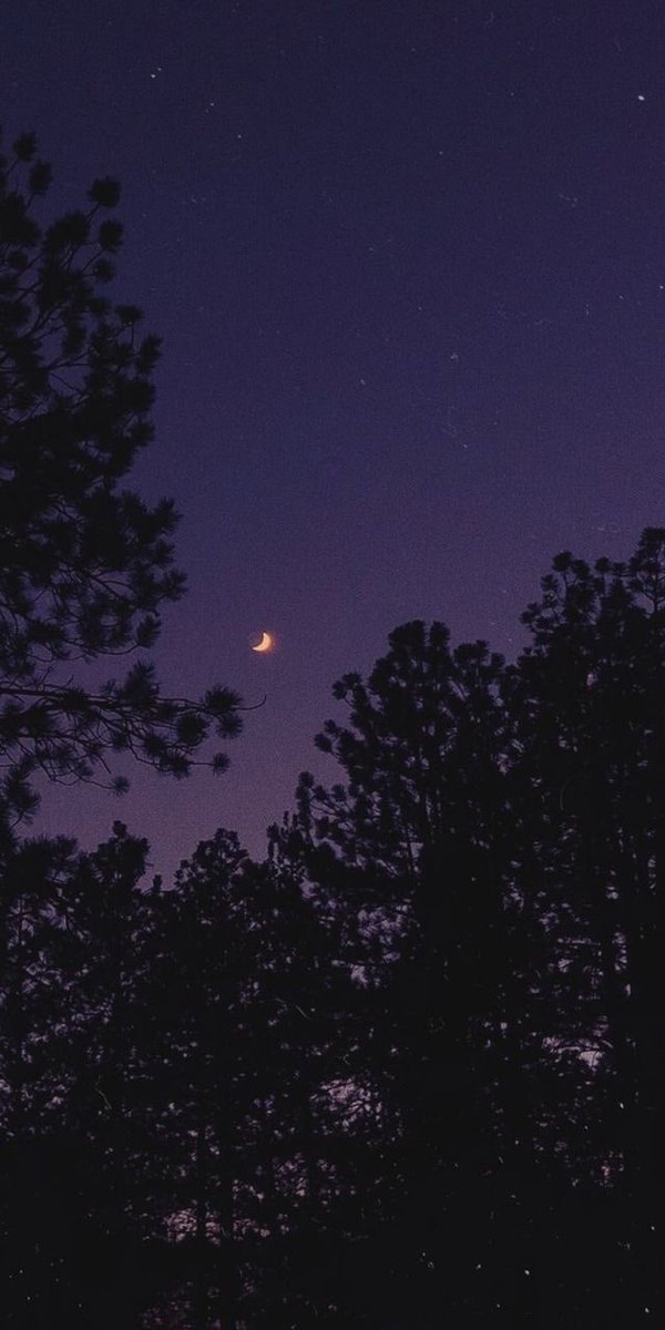 Nobody: 
Me whenever i see the moon:
