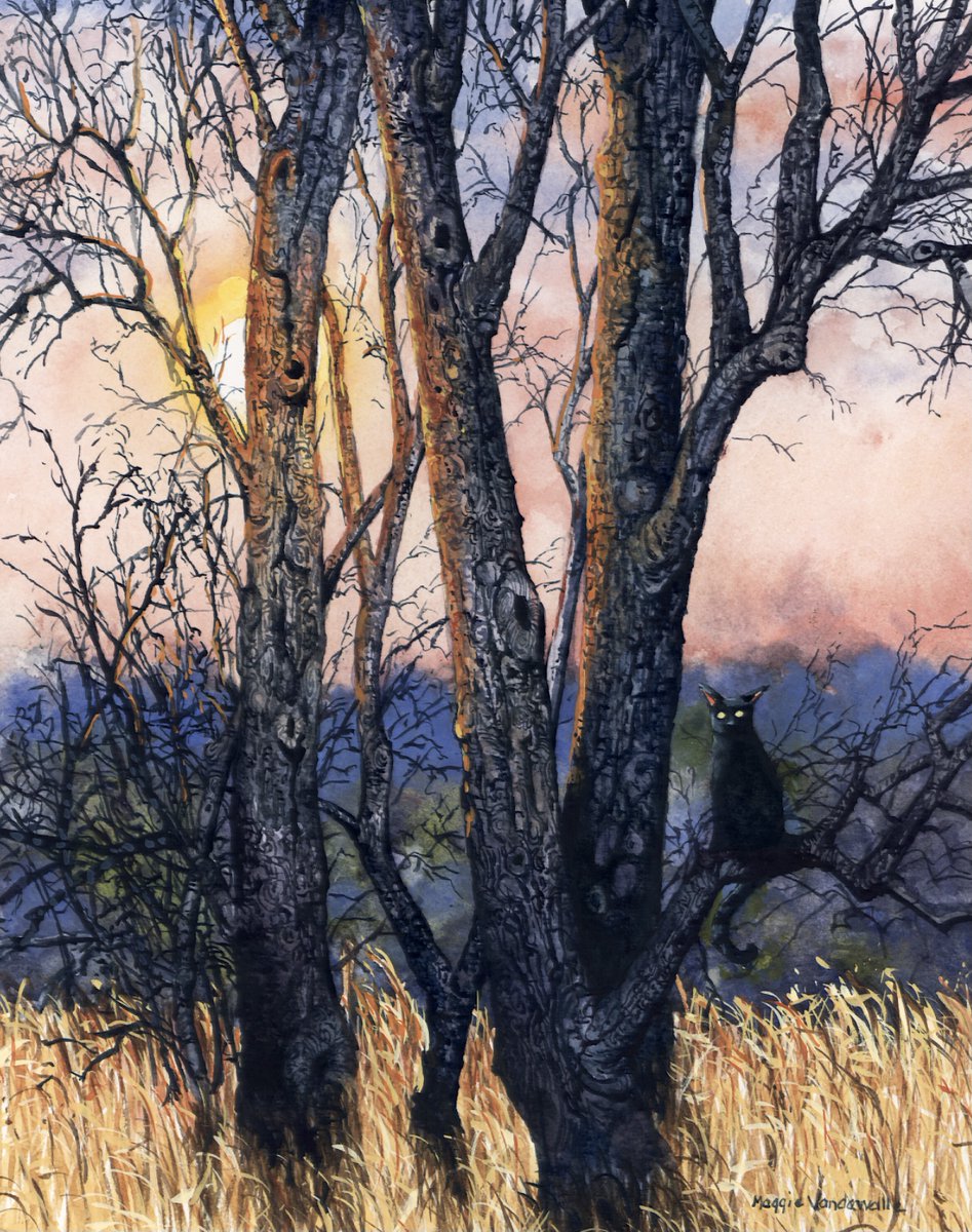 So, I did a time lapse of this painting, it’s on my YouTube channel, Maggie Vandewalle Watercolors. If you told me even a year ago I’d have my own YouTube channel....😂
#watercolor #maggievandewalle #sundown