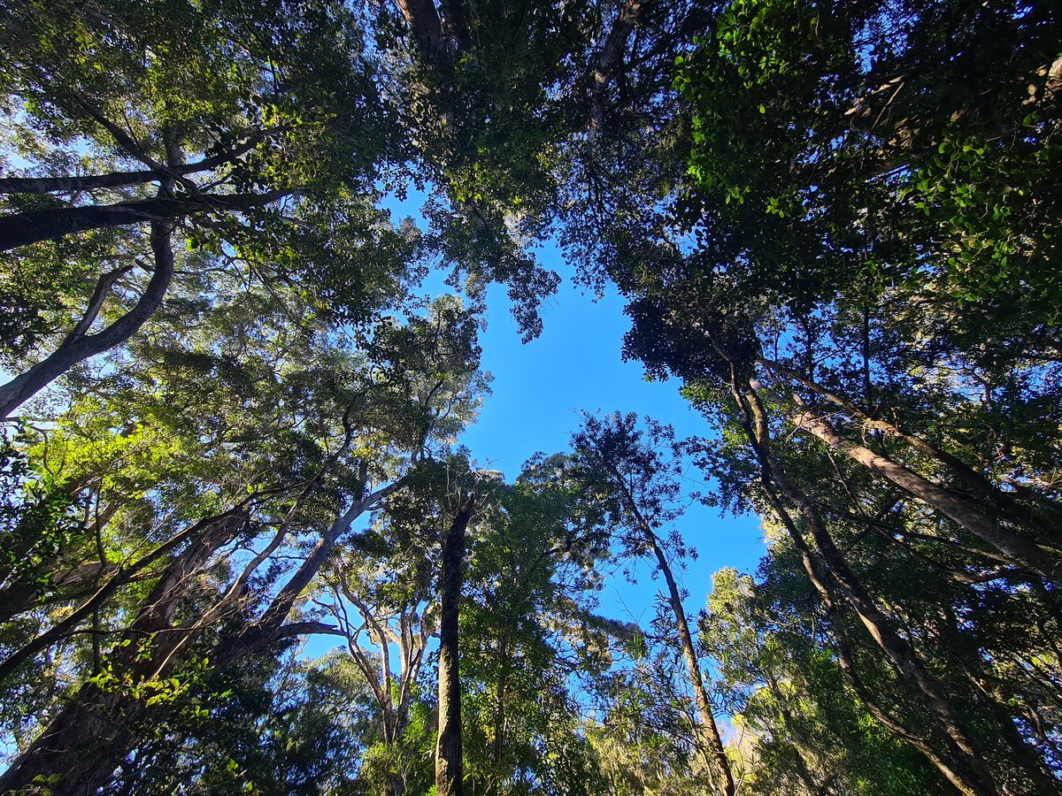 MrCow_man's tweet photo. Hiking adventures #PardekopNatureWalk #Hackerville #LiveYourWild #KuWrongKuRough #GeorgeDiaries https://t.co/ukhYkFF43w