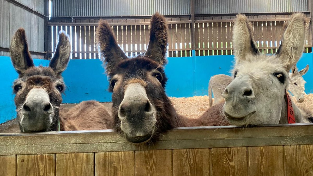 Good evening! ❤️