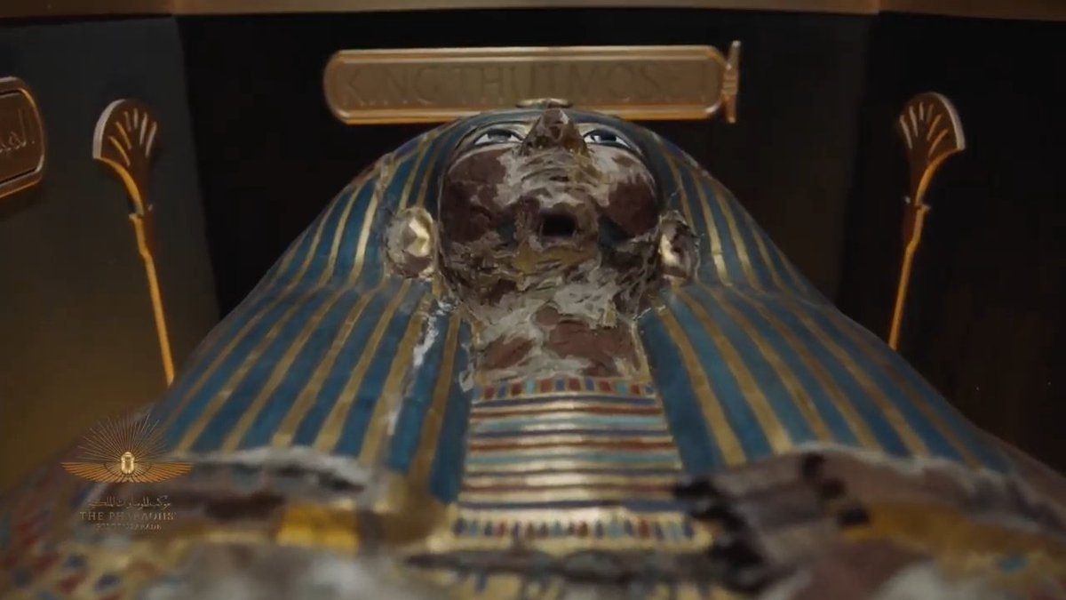EgyptTodayMag's tweet photo. Egypt impresses the world with a once-in-a-lifetime parade for the royal kings and queens of Ancient Egypt

𝗧𝗵𝗶𝘀 𝗜𝘀 𝗘𝗴𝘆𝗽𝘁  🇪🇬

#Egypt #AncientEgypt #History #Egyptology #Pharaoh  #thePharoahsGoldenParade | #موكب_المومياوات_الملكية  #المتحف_المصري https://t.co/NWO7YU3fwi