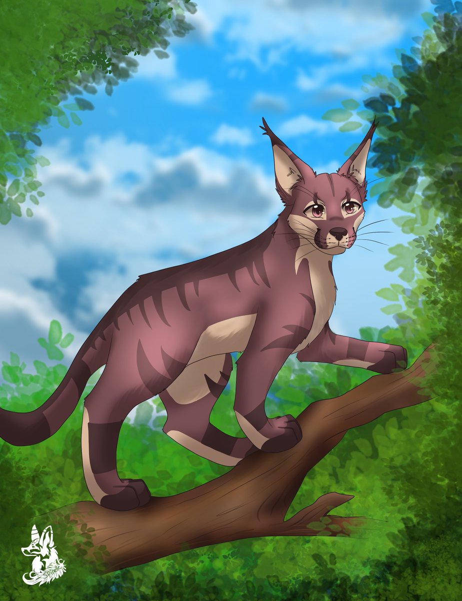 Spinellefennec's tweet photo. Coucou voici un caracal que j'ai créé pour un échange avec une amie https://t.co/F9GA1OAMyJ