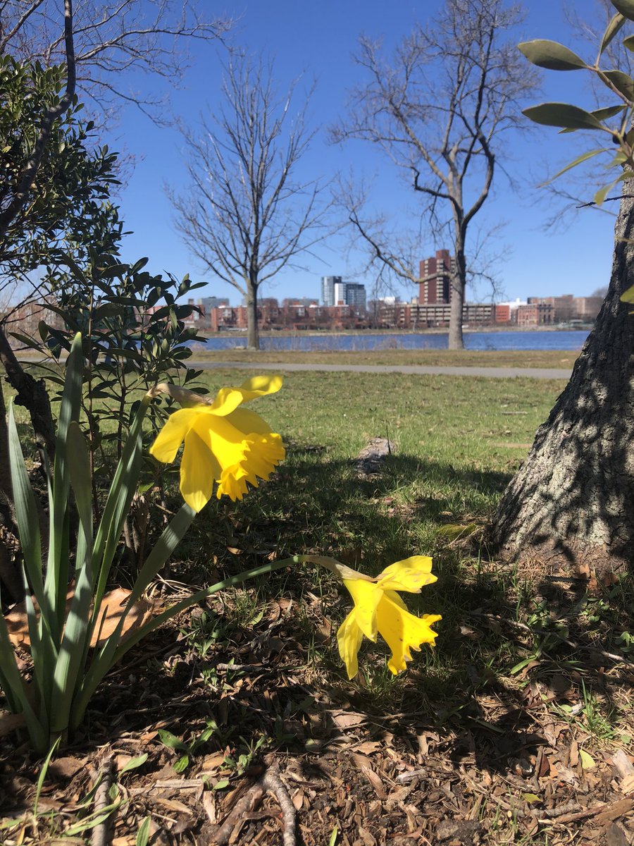 Emjay1028's tweet photo. Itβs April and itβs really #spring in #Boston and the sunshine is warm even with the chilly breeze. βοΈβ€οΈππ»ββοΈ #ViewFromMidDayRun #Esplanade #MJWeather #MadeItThroughAnotherWinter https://t.co/8frbGGdOvp