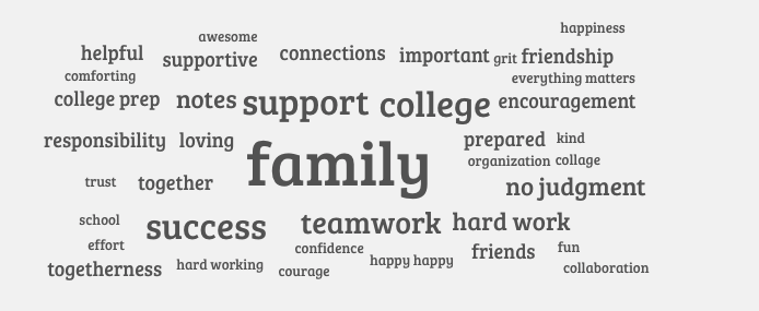 AVID4College's tweet image. &quot;When you think of AVID, what word comes to mind?&quot; 

A word cloud from 10th graders at @PHS_AVID. #AVIDMindset