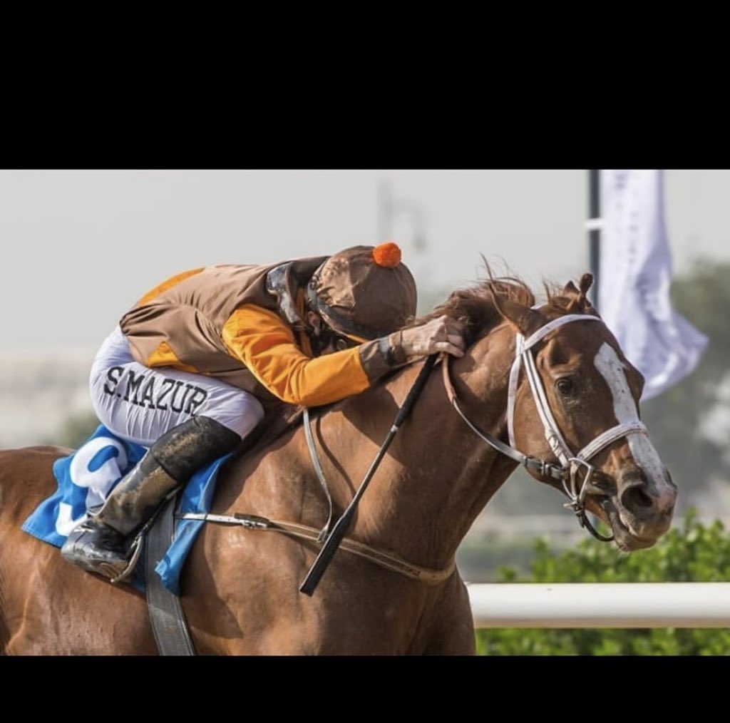 Falcon Claws🧡🥇🏆