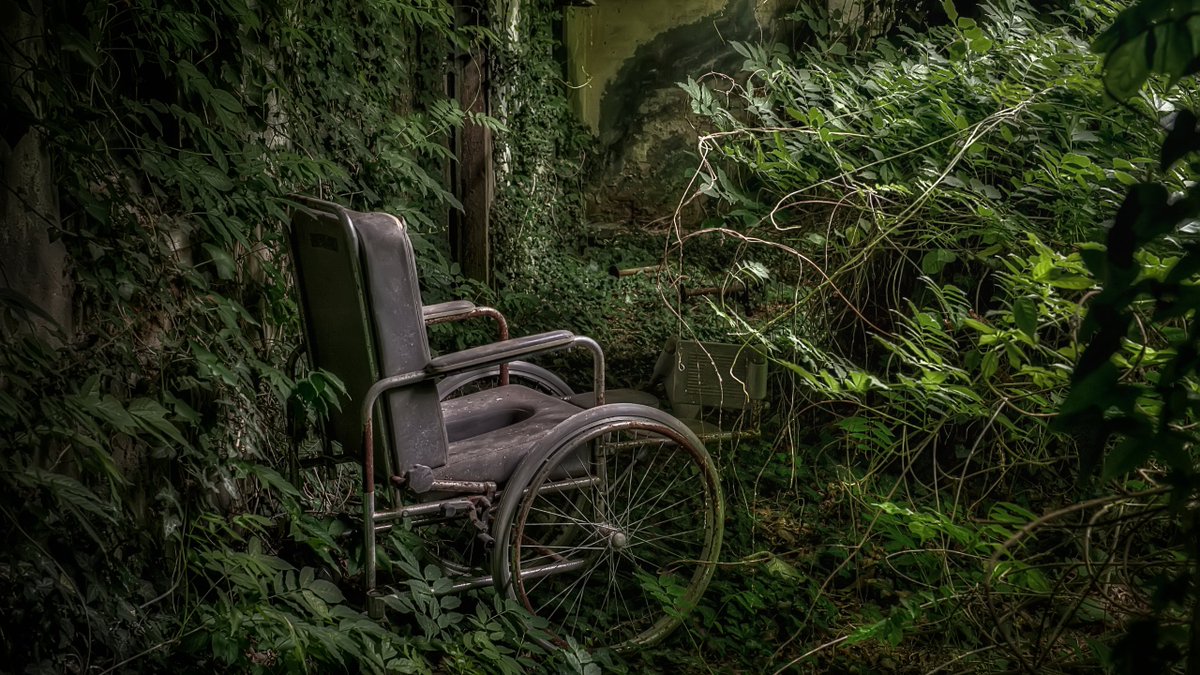 arboles_magicos's tweet image. Voy a proponer un reto. He visto esta fotografía, es de uso libre y tiene muchísimo mensaje, o a mi me lo parece. 
Os propongo citar este tuit retuiteandolo con un relato corto, tan corto como un tuit. Al final haremos un hilo con todos.
Empiezo yo. 🔁