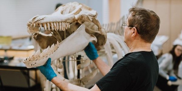 The orcas are coming! This exhibit will be here for the rest of the of the year so build it into your future plans.   buff.ly/39Bqi6j~ #explorevictoria #staylocal