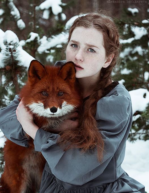 BlackFoxesUK's tweet photo. Alice is a great example of a Cherry Red fox “... a wonderful animal... Sometimes she is friendly, sometimes not. All the photographs are spontaneous – I tried to catch the moments of their unity.”
Source:
https://t.co/OSNoFpH1TW
Image source:
https://t.co/4m4ncVKUxr https://t.co/rpvlED8cez
