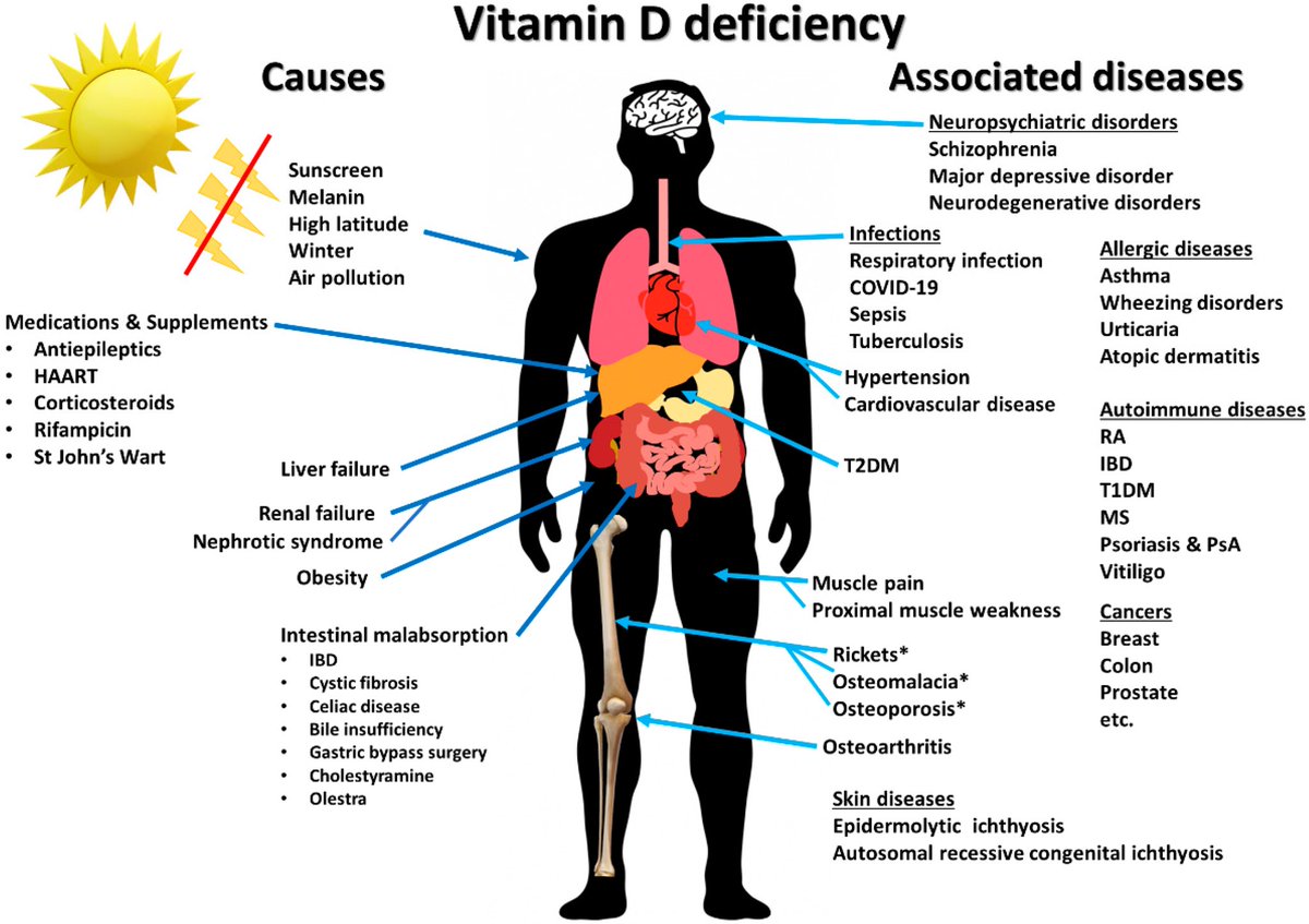 “...studies are now showing an association between vitamin D deficiency and cancer, cardiovascular disease, diabetes, autoimmune diseases, and depression. About 1 billion people worldwide have vitamin D deficiency. The prevalence of vitamin D deficiency was 35% higher in obese.”