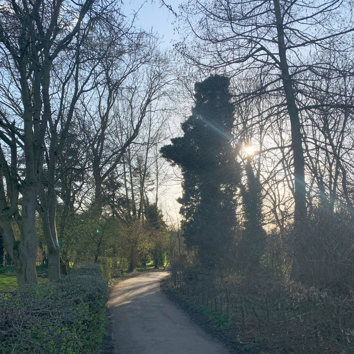 The sun was shining on our #WeeklyWalk! ☀️🕶