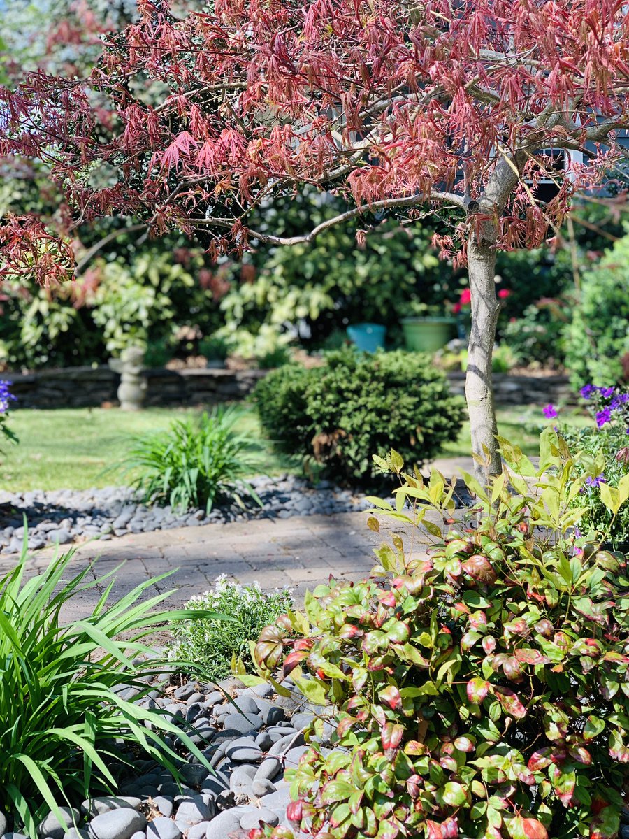 Vicki Morton-Bailey (@vickilynndnp) on Twitter photo Yard work while listening to <a href="/topmedtalk/">TopMedTalk</a>. I’m pretty sure my neighbors are listening also. Yard work while listening to <a href="/topmedtalk/">TopMedTalk</a>. I’m pretty sure my neighbors are listening also.
