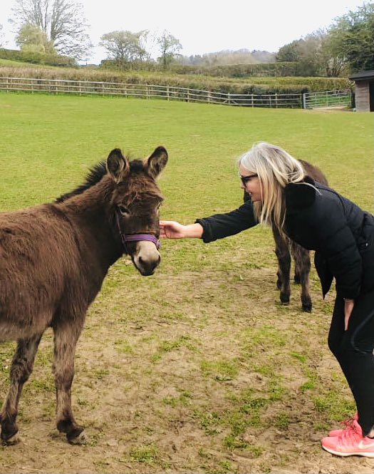 CarrieCamCooper's tweet photo. Appreciating animal wisdom. Grace, harmony, unconditional love included. #Gloucestershire #donkeyfield #energeticsoftness https://t.co/8GubZJUNCL