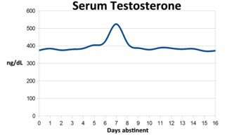 Not ejaculating for a week was also shown to boost testosterone levels in men by 47%. There is no link between ejaculation and levels of prostate cancer.