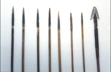219Albuquerque1's tweet photo. 28 Portuguese were dead due to the operation and most of them were because of the poisoned arrows. The Sultan had an impressive number of artillery pieces and firearms, but they were largely ineffective. Thank you to those Portuguese who fought for the country. #rip https://t.co/Yxxq4vqdpw