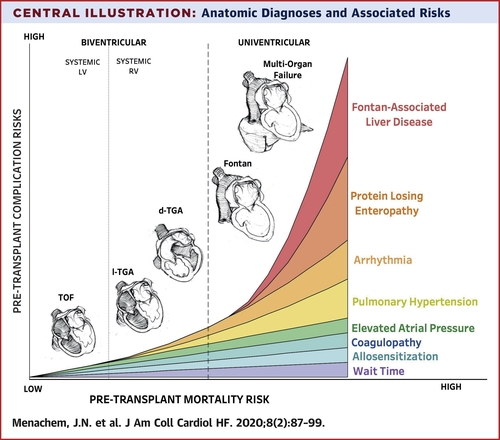 SeguraCardio's tweet photo. 📌Advanced #HeartFailure in Adults w/ Congenital Heart Disease #StateOfTheArt 📝 @JACCJournals 
#CardioEd #CardioTwitter https://t.co/A0YZOPWBFr