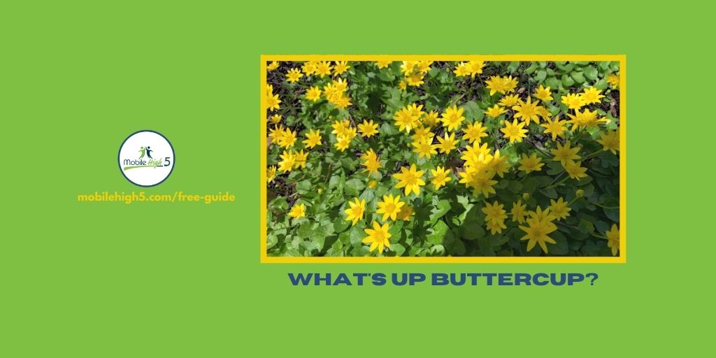 mobilehigh5's tweet image. Spring is a time for renewal &amp;amp; appreciation! It&apos;s also a perfect time to re-engage with customers.   

Most importantly, make sure you are text-enabled for the business recovery! Enjoy all that Spring has to offer.

👉  Learn more:

#posintegrations #sms #mobileoffers #loyalty