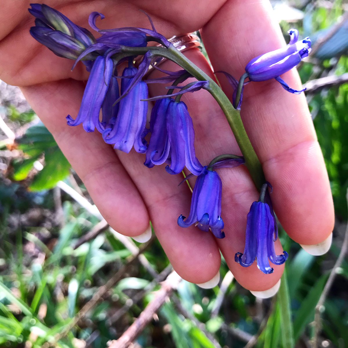 Ⓑⓔⓢⓣ ⓞⓕ Ⓝⓔⓐⓣⓗ Ⓟⓗⓞⓣⓞⓢ tweet media