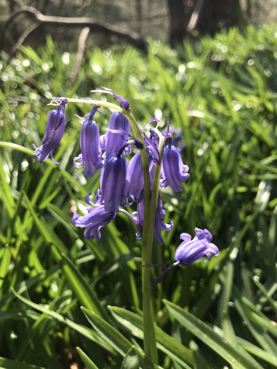 Ⓑⓔⓢⓣ ⓞⓕ Ⓝⓔⓐⓣⓗ Ⓟⓗⓞⓣⓞⓢ tweet media