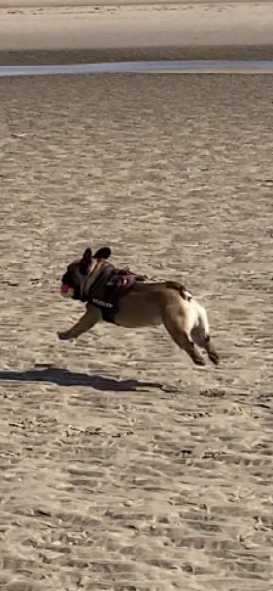 George Smith tweet media