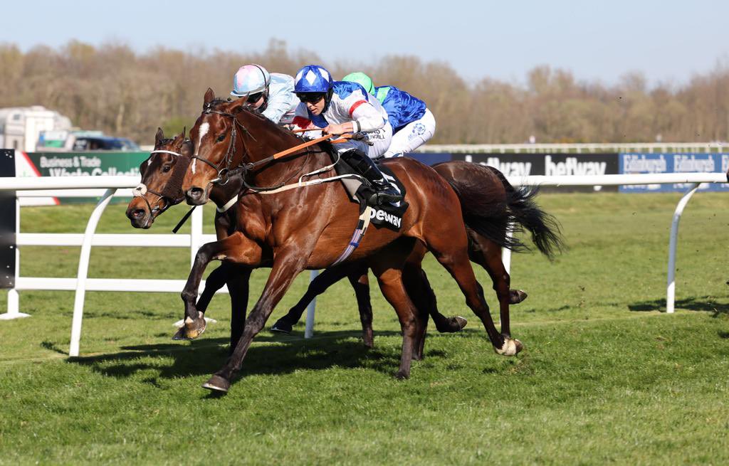 Great day @musselburghracecourse 🏴󠁧󠁢󠁳󠁣󠁴󠁿 in the sun ☀️ #TheGamekeeper #Naamoos #TheMaxWeCan 3 of the @Johnston_Racing 4 winners on the day. Well done everyone in the yard & all connections 🙌 #@betway QueensCup 🏆 📸 @grossickphoto