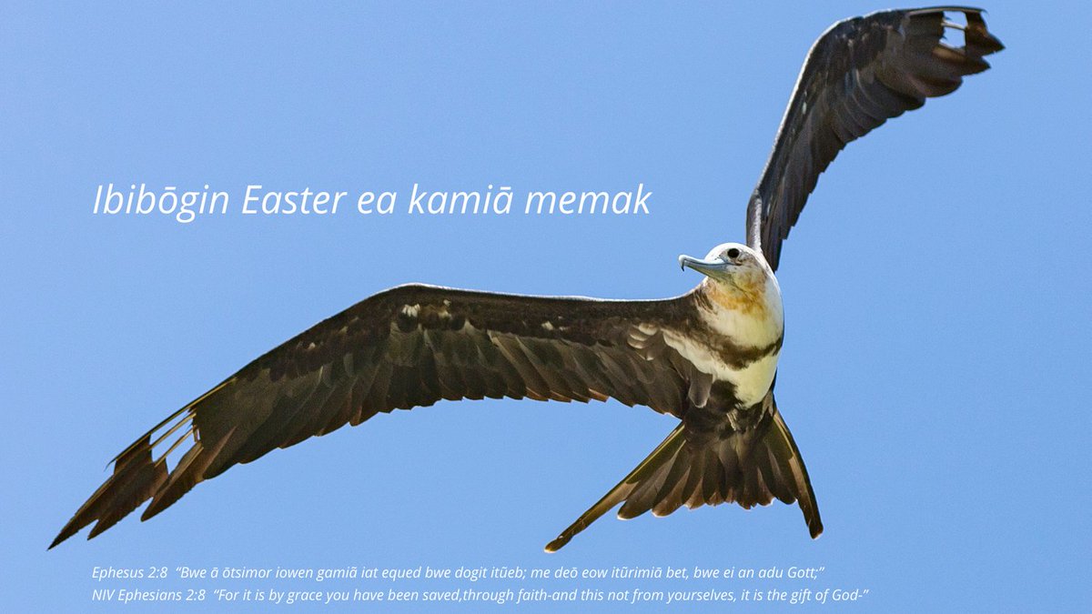 nauruairlines's tweet image. Wishing a happy Easter filled with joy, hope and love. Happy Easter!
#eastergreeting #easter #eastersunday