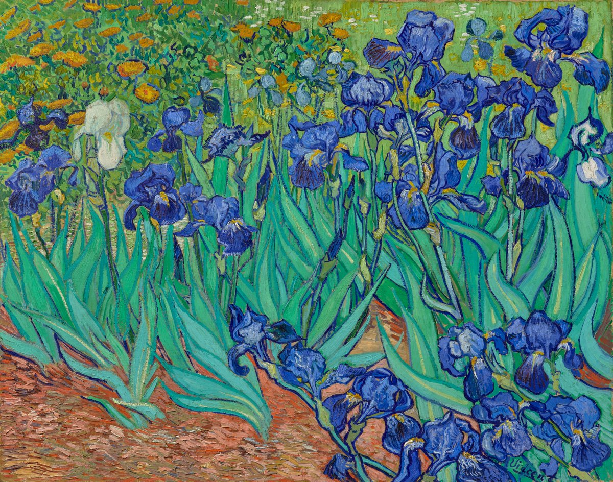 #miniMA140 Van Gogh, en cambio, (re)nace cada vez que pinta una flor. Estos maravillosos iris los hizo en mayo, el primer día que ingresó en el sanatorio de Saint-Paul. De la tierra fértil nace la vida en primavera.