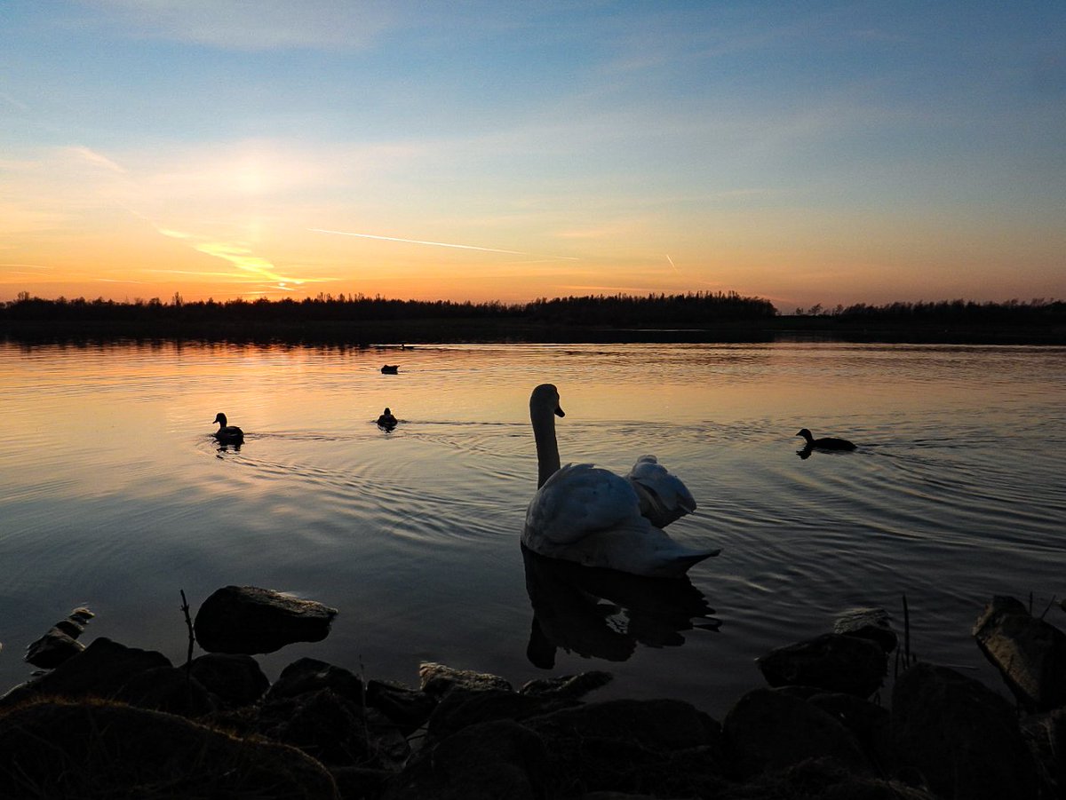 Sunset at anglers country park wintersett @JonMitchellITV <a href="/kerriegosneyTV/">Kerrie Gosney</a> <a href="/JoBlytheTV/">Jo Blythe 🤍</a> <a href="/itvweather/">ITV Weather</a> <a href="/bbcweather/">BBC Weather</a> <a href="/Abbiedew/">Abbie Dewhurst</a> <a href="/metoffice/">Met Office</a> #loveukweather <a href="/WkfdOfficial/">Wakefield Official News</a> <a href="/Expwakefield/">Experience Wakefield</a> <a href="/WakeExpress/">Wakefield Express</a> #wakefieldweekly <a href="/AnglersPark/">Anglers Country Park</a> #sunset <a href="/SimonOKing/">Simon King</a> <a href="/carolkirkwood/">Carol Kirkwood</a>