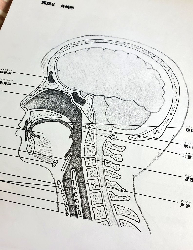 朝型にしてから、やっぱり勉強はかどる。思えば学生時代に1番成績良かった時って夜はちゃんと寝て朝早く起きて勉強してた時だったわ～。 