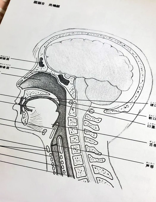朝型にしてから、やっぱり勉強はかどる。思えば学生時代に1番成績良かった時って夜はちゃんと寝て朝早く起きて勉強してた時だったわ～。 