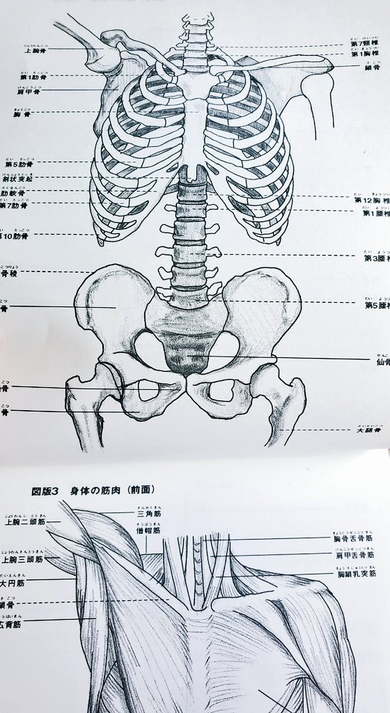 朝型にしてから、やっぱり勉強はかどる。思えば学生時代に1番成績良かった時って夜はちゃんと寝て朝早く起きて勉強してた時だったわ～。 