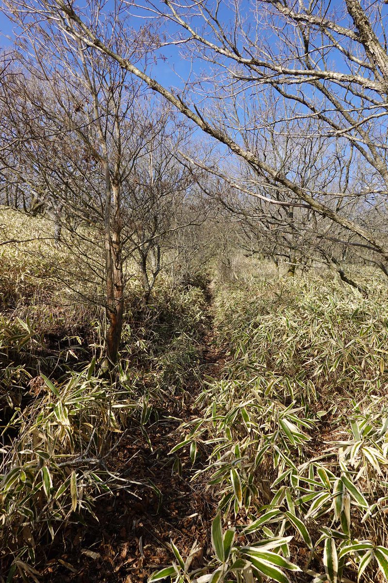 ようこそ九重連山へ Kujyu Renzan Twitter ようこそ九重連山へ Kujyu Renzan Twitter