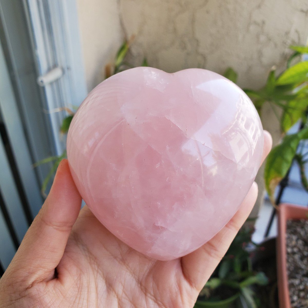 venusiancrafts_'s tweet photo. happy #SmallBusinessSaturday! 🤗

i recently had an update &amp; it would be really awesome if y'all would check out my shop! i still have tons of old stock as well 💛
https://t.co/mXYViiuaU3 https://t.co/6H7FFu0Qww