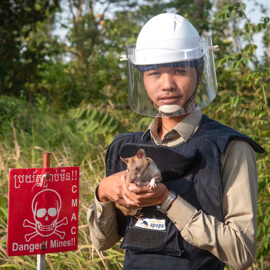 April 4th is the International Day for Mine Awareness and Assistance in Mine Action! This year's theme is 'Perseverance, Partnership, Progress'. 

Join APOPO as we work towards a world free of hidden explosives: bit.ly/3wsqE9o

#LandmineFree2025 #MineActionDay #MineFree
