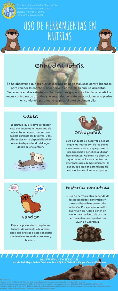 A veces se cree que sólo los primates utilizan herramientas, pero sabías que hay muchas especies que lo hacen?
Aquí tenemos un ejemplo en las nutrias
@Octavia05992043 <a href="/mariaignacia100/">Mari Quiroz</a> 
<a href="/explora_cl/">Programa Explora</a> <a href="/min_ciencia/">Ministerio de Ciencia</a> <a href="/Mineduc/">Ministerio de Educación</a> @CddocUC