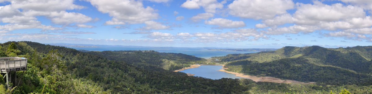 Shahid 💙 🇳🇿 tweet media