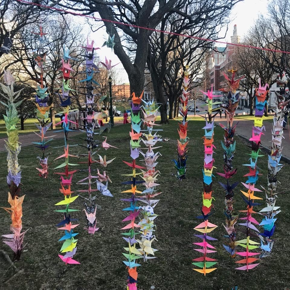 KuniPAPTAKE's tweet photo. 1000 paper cranes project - a youth-led event held at RI State House.  Photos by Ratk.

#hateisavirus So we need to stop spreading it.  Now.
#StopAsianHate 
#StopAsianHateCrimes https://t.co/U0ab6LKc30