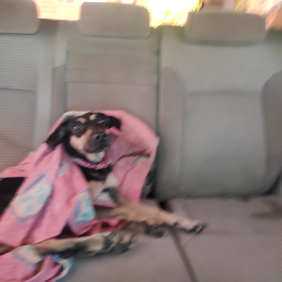 Mily4015's tweet photo. SOS SOS
#Ayuda #Alimentos
#Medicinas #Valencia
#Somos47🐩🐕‍🦺😿#HelpsUs
Nuestra manada necesita de tu ayuda.Ella es Beba, está delicada y debemos pagar Clínica y su tratamiento.🙏
PM Mercantil
04143401680
4936560
Zelle Paypal al DM https://t.co/9n7kPxbegg