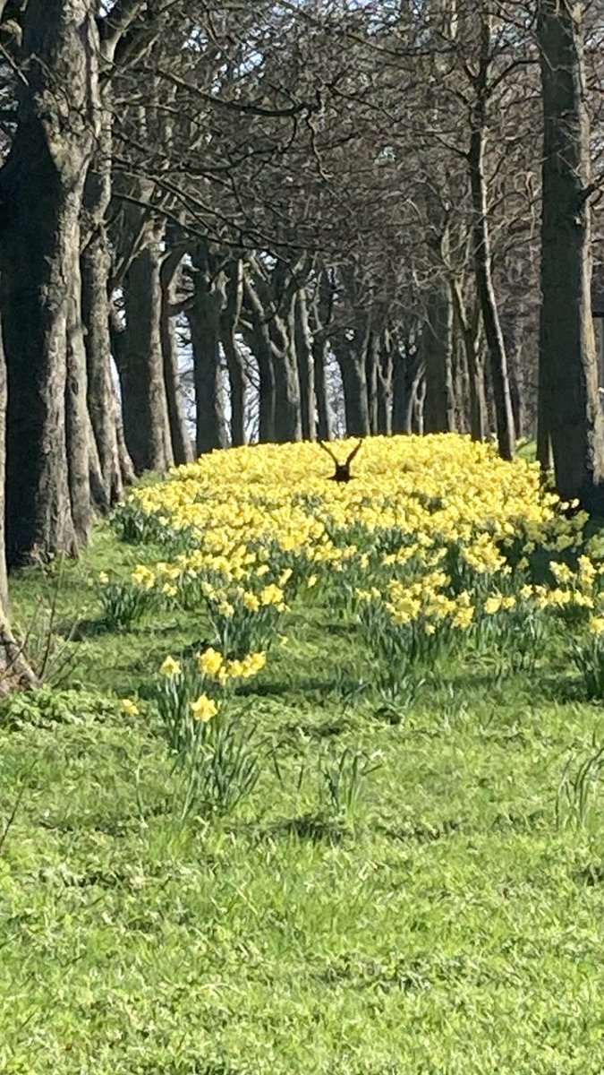 drmnorton's tweet photo. One of those times when I wish I had been carrying a camera rather than a phone... https://t.co/j5BeglvcZm