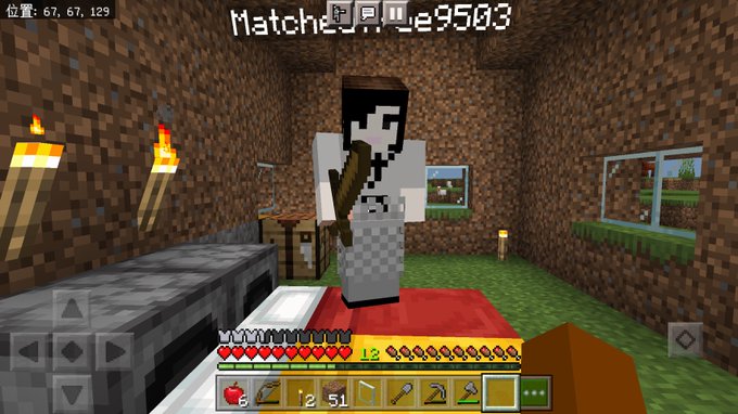 マイクラpeのtwitterイラスト検索結果