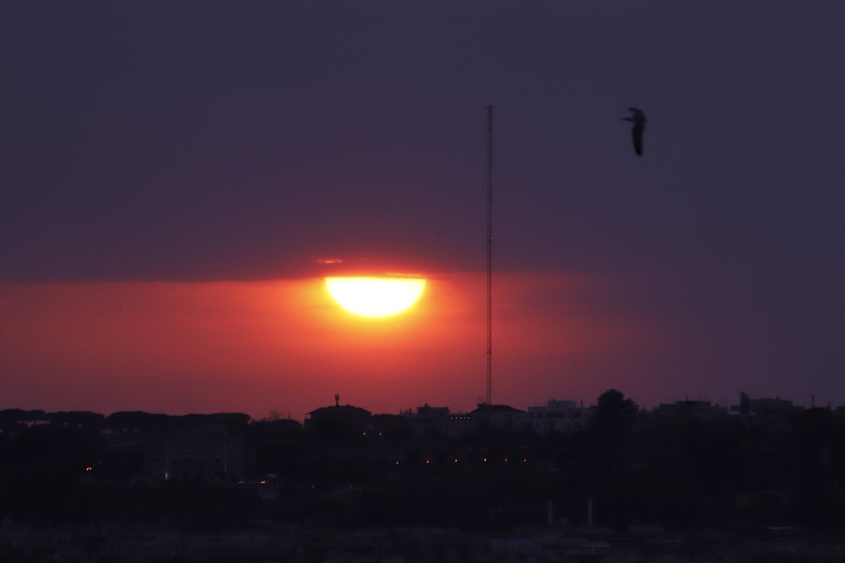 ApiRoberto's tweet photo. This evening like this https://t.co/DPOpS2UQ2u