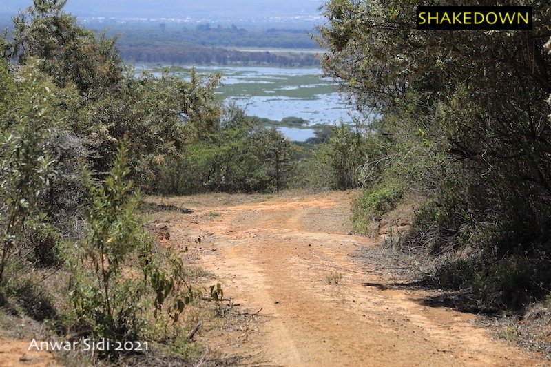 YarisWRC - World Rally Championship: Temporada 2021  - Página 20 EyFG50cXEAMY0dl?format=jpg&name=900x900