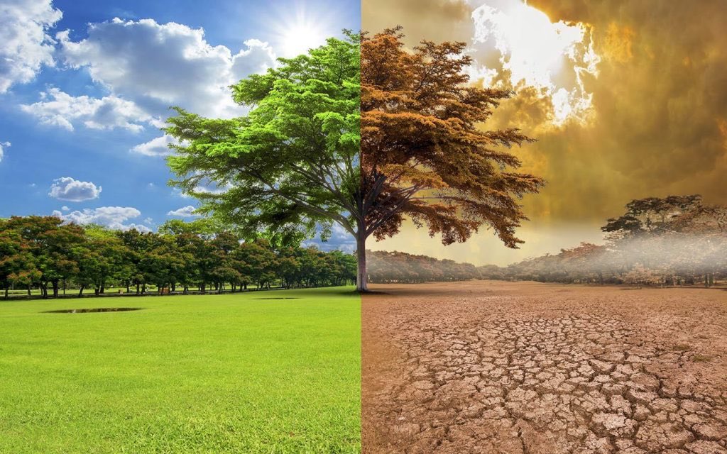 pollution_00's tweet photo. التصحر الذي يسببه الاحتباس الحراري https://t.co/nckmz8wK4h