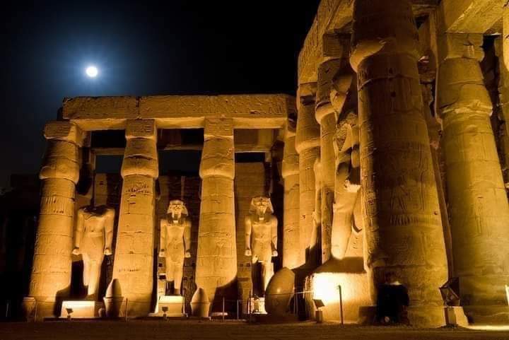MernaElattar10's tweet photo. #موكب_المومياوات_الملكيه 
I'm so proud of being Egyptian 🇪🇬♥️ https://t.co/qN06ic2uxz